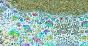 > </div>
<div class=